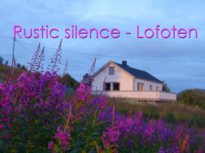 Rustic Silence Lofoten